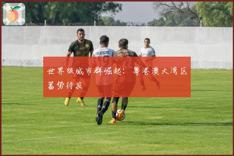 世界级城市群崛起：粤港澳大湾区蓄势待发