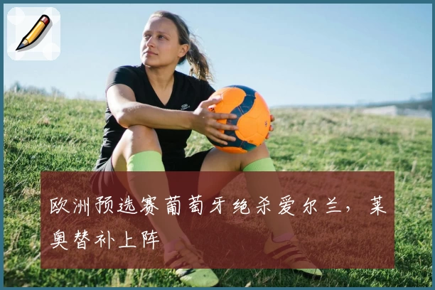 欧洲预选赛葡萄牙绝杀爱尔兰，莱奥替补上阵